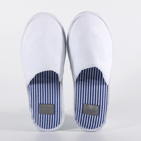 Velvet Slippers