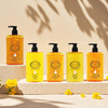 Shampoo and Conditioner Set Gentle Hair Care Wholesale Shampoo Conditioner for Daily Use