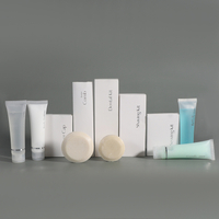 OEM High Quality Hotel Amenities Set Wholesale Amenity Kit Hotel Supplies