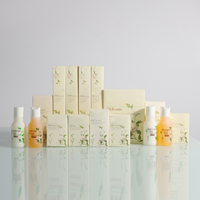 Luxury Hotel Amenities Toiletries Eco Friendly Wholesale High Quality Amenities
