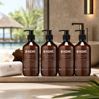 Supplier Amenities Hotel Programs Featuring Private Label OEM Service For Guest Room Bathroom Supplies