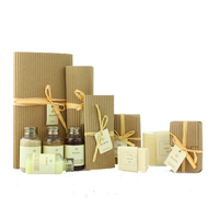 Personalized Biodegradable Mini PCR Bottle Hotel Amenities Set for Global Hotel Supply