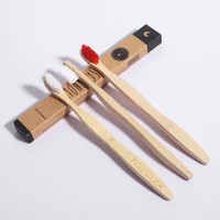 Premium Custom Disposable Biodegradable Wheat Straw Hotel Toothbrush for Wholesale Hotel Eco Supplies